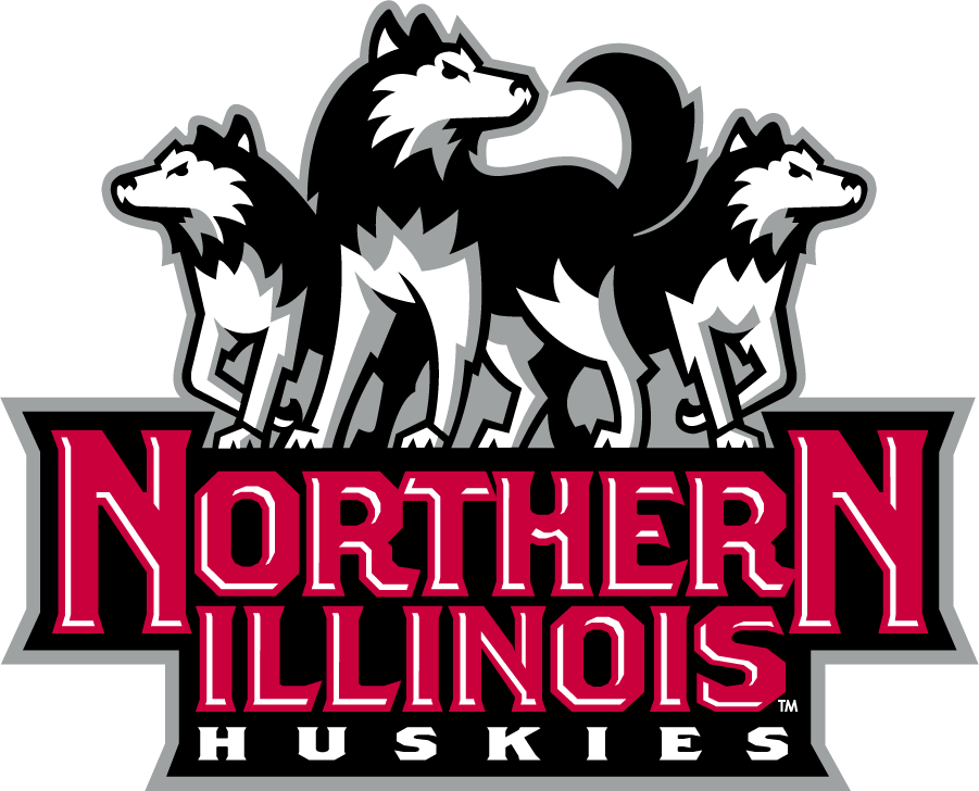 Northern Illinois Huskies 2001-2011 Alternate Logo v2 diy DTF decal sticker